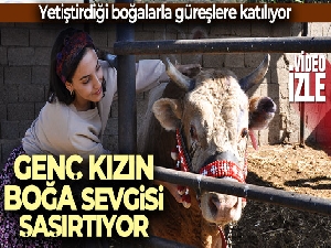 Genç kızın boğa sevgisi şaşırtıyor