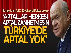 MHP Genel Başkanı Bahçeli, ABD Büyükelçisi Flake'e cevap