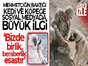 Mehmetçiğin baktığı kedi ve köpeğe sosyal medyada büyük ilgi