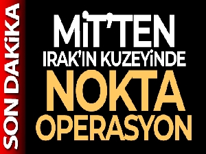 MİT'ten Sincar'da nokta operasyon