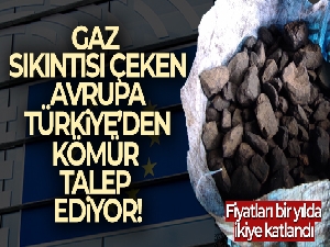 Gaz sıkıntısı çeken Avrupa, Türkiye'den kömür talep ediyor