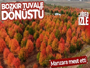 Bozkır tuvale dönüştü, oluşan manzara mest etti