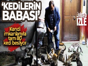 'Kedilerin babası'... Kendi imkanlarıyla tam 80 kedi besliyor