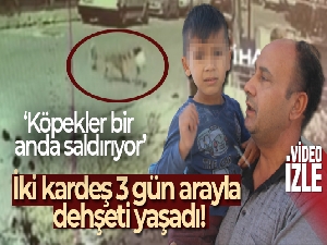 İki kardeş 3 gün arayla dehşeti yaşadı