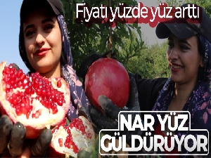 Fiyatı yüzde yüz artan nar yüz güldürüyor
