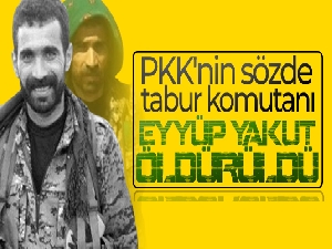 PKK'nin sözde tabur komutanı Eyyüp Yakut öldürüldü