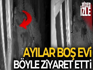 Ayılar boş evi böyle ziyaret etti