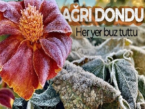 Ağrı dondu, her yer buz tuttu