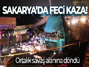 Sakarya D-650 Kara Yolu'nda feci kaza: 1 ölü, 1 yaralı