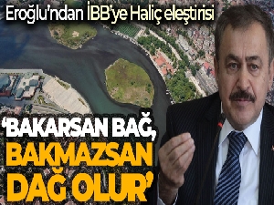 Eroğlu'ndan İBB'ye Haliç eleştirisi: 'Bakarsan bağ, bakmazsan dağ olur'