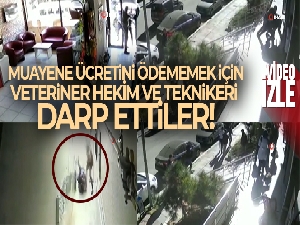 Muayene ücreti ödemek istemeyen şahıslar, veteriner hekim ve teknikeri darp etti