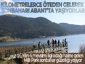 Kilometrelerce öteden gelerek sonbaharı Abant'ta yaşıyorlar