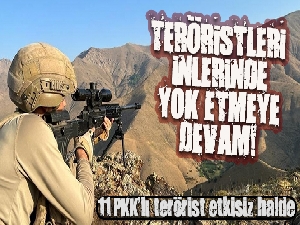 Teröristleri inlerinde yok etmeye devam! 11 PKK'lı terörist etkisiz halde