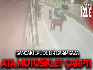 Sancaktepe'de yola çıkan başıboş ata motosiklet çarptı