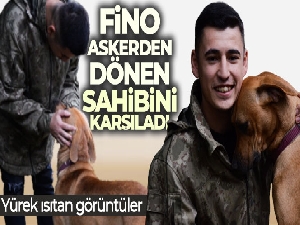 Fino isimli köpeğin askerden dönen sahibini karşılaması duygulandırdı