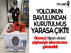 Çin'den Tayland'a gelen yolcunun bavuldan kurutulmuş yarasa çıktı