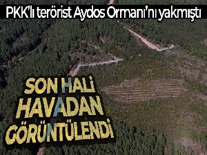Pendik'te Aydos Ormanı'nda PKK'lı teröristin yaktığı ormanlık alanın son hali havadan görüntülendi