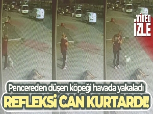 Büyükçekmece'de pencereden düşen köpeği havada yakaladı