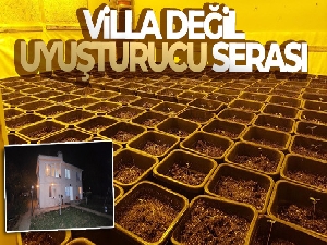 Villa değil uyuşturucu serası