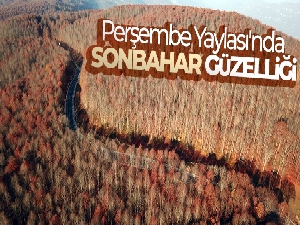 Perşembe Yaylası'nda sonbahar güzelliği