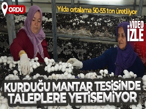 Kurduğu mantar tesisinde taleplere yetişemiyor