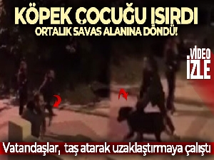 Büyükçekmece'de çocuğu köpek ısırınca ortalık savaş alanına döndü