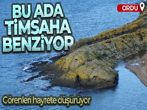Bu ada timsaha benziyor