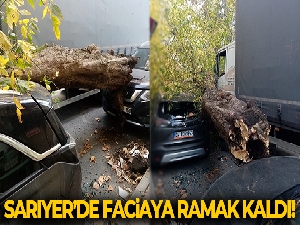 Sarıyer'de kamyonun çarptığı ağaç yola devrildi