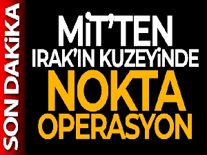 MİT'ten Gara'da nokta operasyon