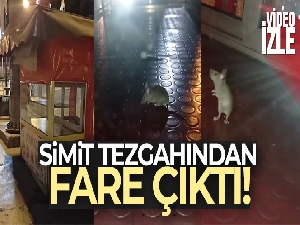 Pendik'te mide bulandıran görüntü: Simit tezgahından fare çıktı