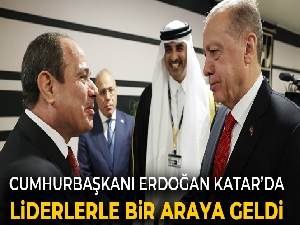Cumhurbaşkanı Erdoğan, Katar Emiri Al Sani tarafından verilen resepsiyona katıldı