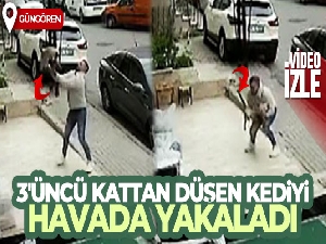 3'üncü kattan düşen kediyi havada yakaladı