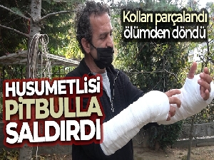 Pitbullu saldırıya uğradı...Kolları parçalandı, ölümden döndü