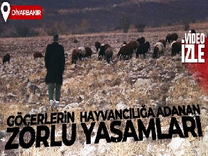 Göçerlerin çoluk, çocuk demeden hayvancılığa adanan zorlu yaşamları