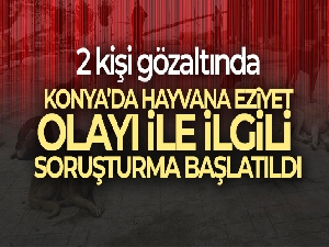 Konya'daki hayvana eziyet eden şüpheliler adliyeye sevk edildi
