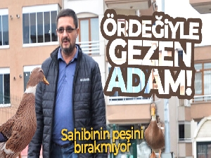 Ördeğiyle gezen adam: Sokakta, parkta bir an olsun sahibinin peşini bırakmıyor