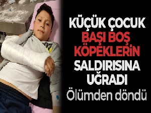 Başıboş köpeğin saldırısına uğrayan 12 yaşındaki çocuk ölümden döndü