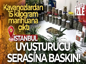 İstanbul'un göbeğindeki uyuşturucu serasına baskın