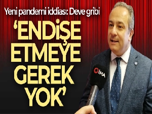 Bilim Kurulu Üyesi Prof. Dr. İlhan: 'Deve gribi için endişe etmeye gerek yok'