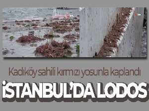 İstanbul'da lodos... Kadıköy sahili kırmızı yosunla kaplandı