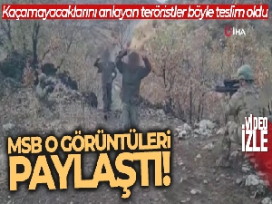 Hava destekli operasyonda sıkışan 4 terörist teslim oldu