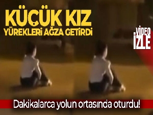 Sancaktepe'de yürekleri ağza getiren görüntü: Dakikalarca yolun ortasında oturdu