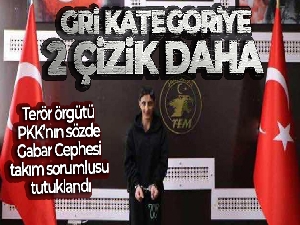 Terör örgütü PKK'nın sözde Gabar Cephesi takım sorumlusu tutuklandı