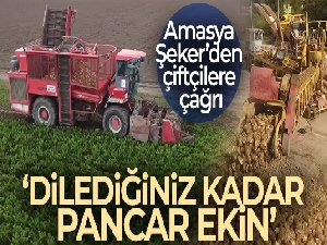 Amasya Şeker'den çiftçilere çağrı: 'Dilediğiniz kadar pancar ekin'