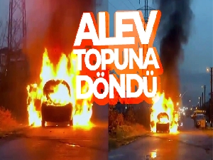 Alev topuna dönen araçtan geriye demir yığınları kaldı