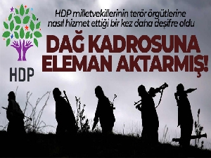 HDP'li vekilin görevi dağ kadrosuna eleman aktarmak çıktı