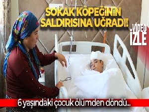 Sokak köpeğinin saldırısına uğrayan 6 yaşındaki çocuk ölümden döndü
