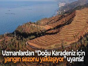 Uzmanlardan 'Doğu Karadeniz için yangın sezonu yaklaşıyor' uyarısı