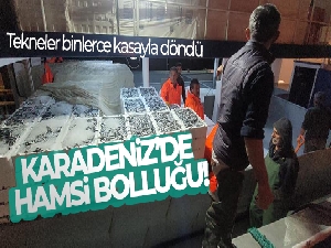 Karadeniz'de hamsi bolluğu: Tekneler binlerce kasayla döndü