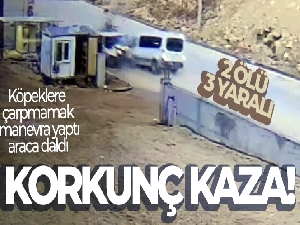 Köpeklere çarpmamak için manevra yapan işçi servisi faciaya neden oldu: 2 ölü, 3 yaralı